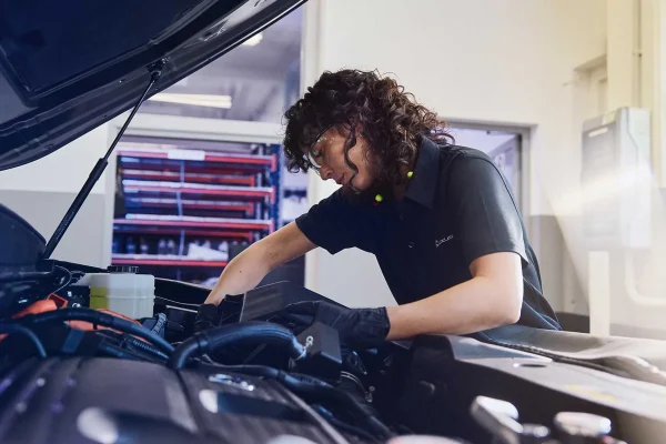 2025-lexus-owners-maintenance-vehicle-service-reference-1920x10280-310328_Large-Landscape