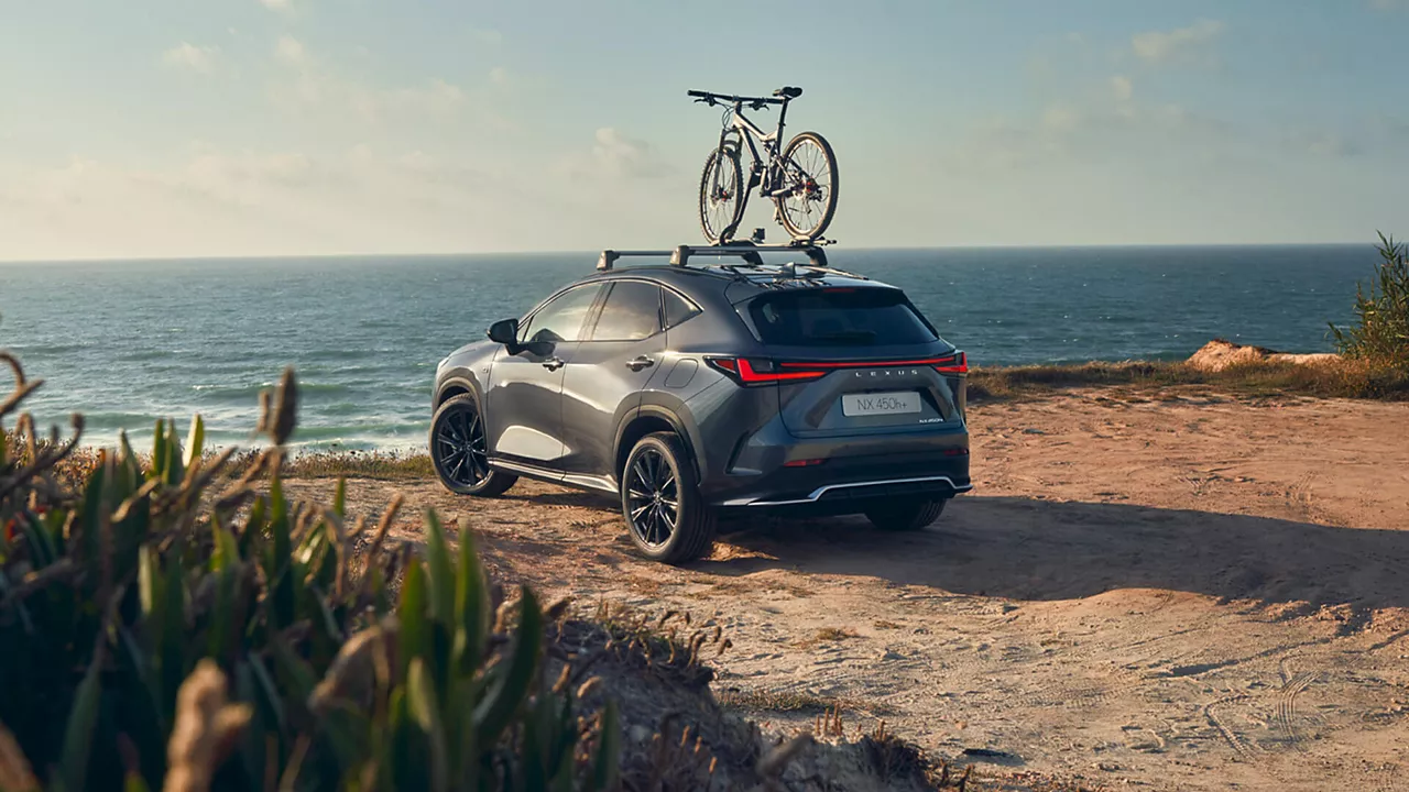 Suport Bicicleta pentru Plafon Lexus