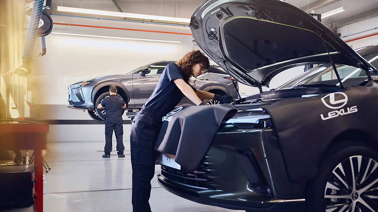 Programare Service Lexus