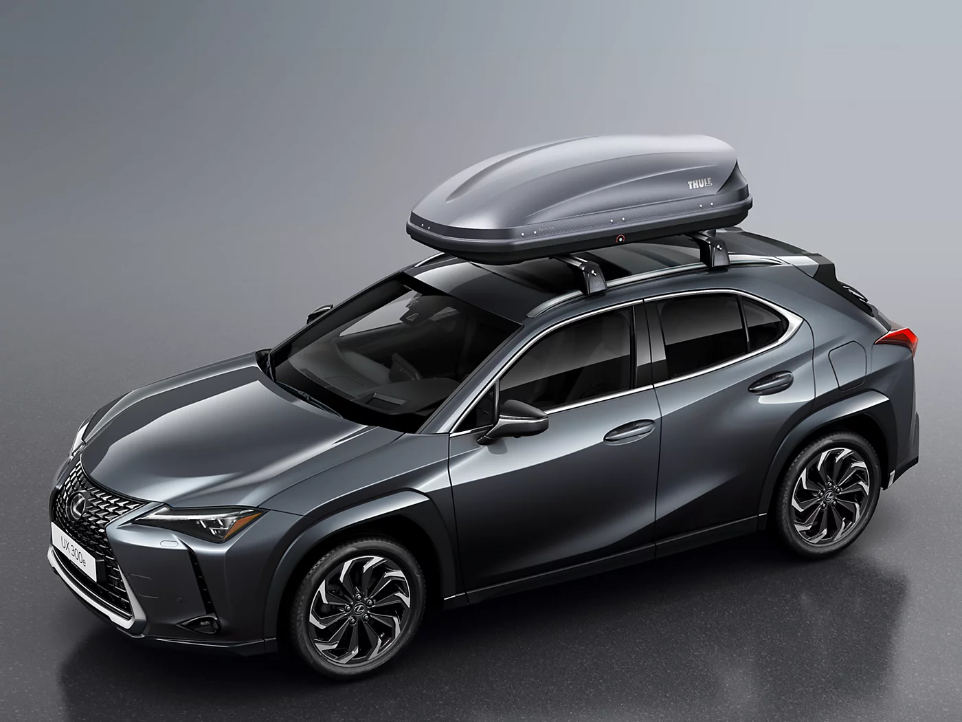 Cutie Portbagaj pentru Plafon Lexus