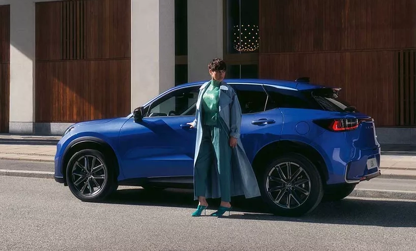 Protectie Maner Lexus Protect